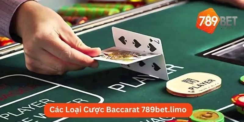 Các Loại Cược Baccarat